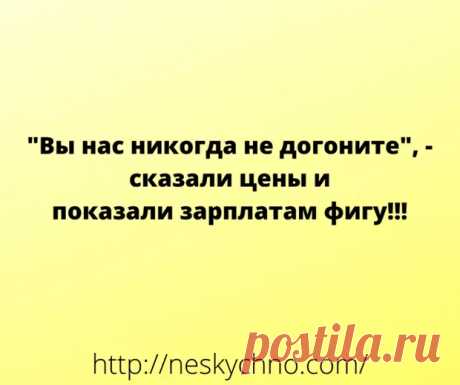 Отборный юмор и анекдоты в свежей подборке - медиаплатформа МирТесен