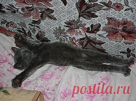 Как упоительно валяться по утрам, когда другие чешут на работу!!! )))