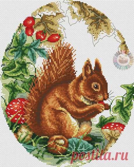 Белочка схема вышивки крестом. Вышивка крестом белка | Все о рукоделии: схемы, мастер классы, идеи на сайте labhousehold.com