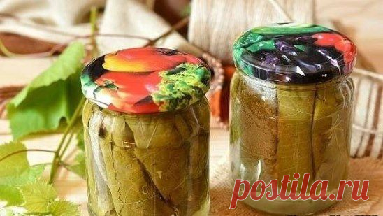 виноградные листья для долмы