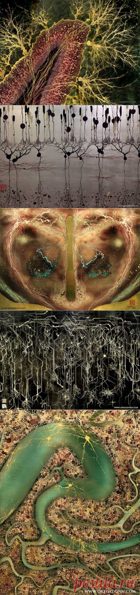 Фото мозга и нейронных связей — Наука и жизнь