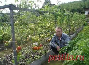 (19) Одноклассники
