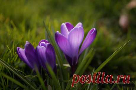 КАКОЙ СЕГОДНЯ ПРАЗДНИК? 29 Марта 2017 г. – Среда • День самопознания • День скакания на одной ножке • День специалиста юридической службы в Вооруженных Силах РФ11 лет • День памяти героев - Мадагаскар • День молодёжи - Тайвань • Именины у Александра, Иулиана, Трофима, Павла, Дениса • Тележный день