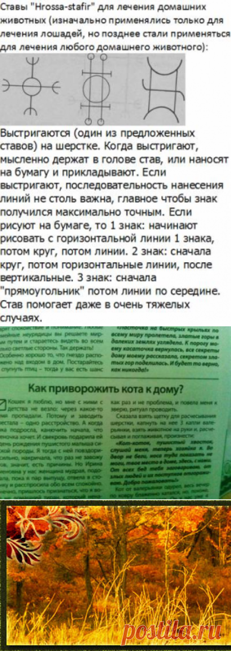 Заговоры и т.п. на животных - Беседка