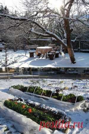 Календарь садовых работ на ноябрь от Сад 365