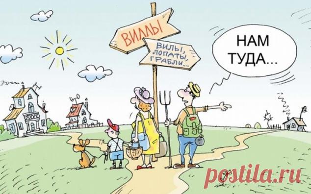 Празднику - быть ? - Садоводка