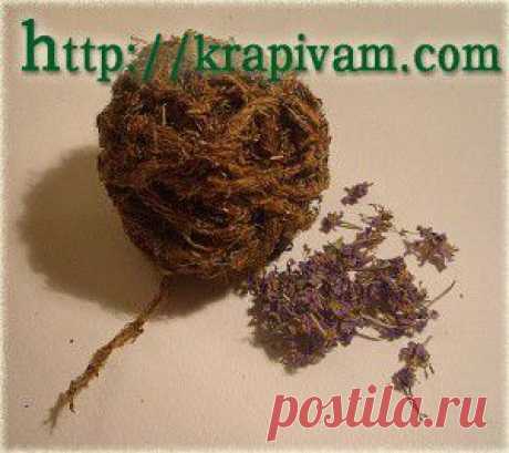 Вот такая получилась кудель из Кипрея. | krapivam.com