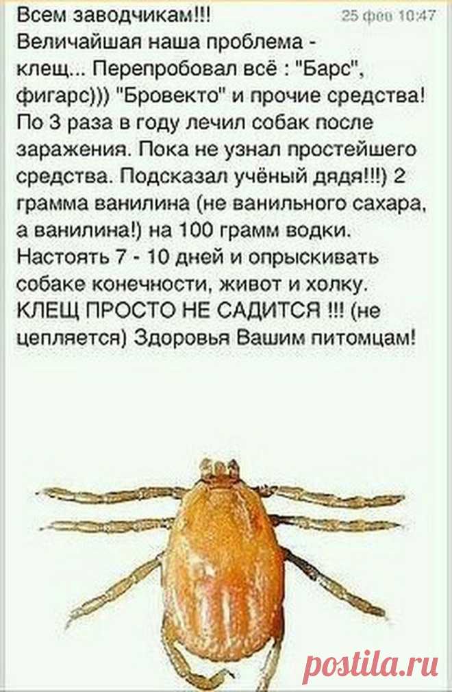 Животным от клещей