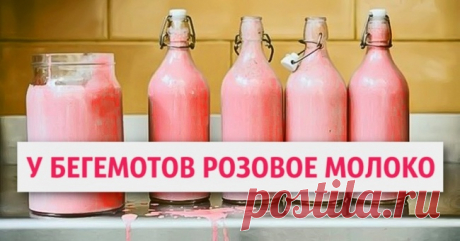 20 фактов, которые звучат как ложь, но это правда