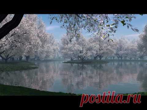 Украинская душевная  песня!