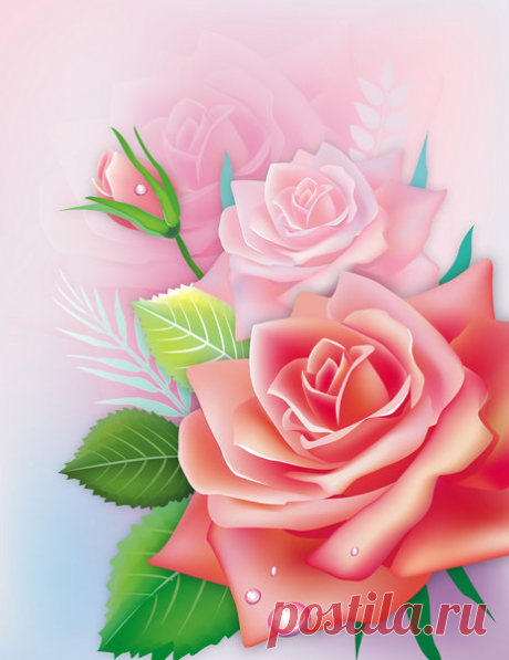 PSD, fondo, delicado aroma a rosas llenó la mañana. Fondo PSD para Photoshop gratis en capas de archivos Descargar.
