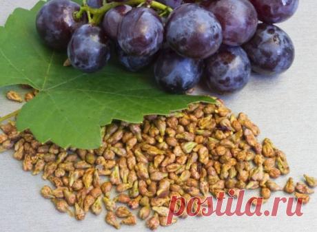 Положительные свойства винограда и виноградных косточек в борьбе с тромбами, бляшками и гипертонией.