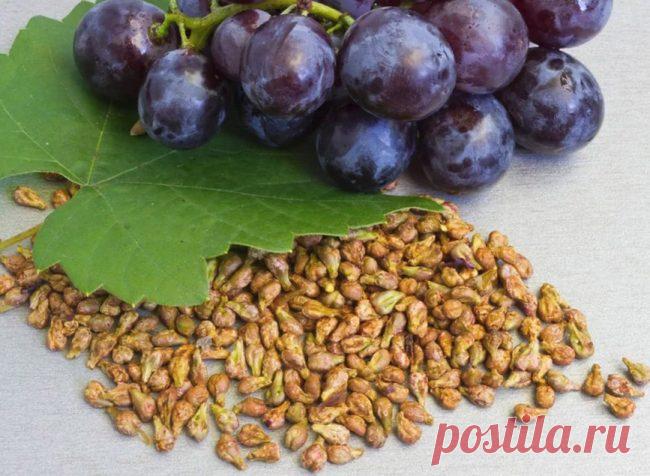 Положительные свойства винограда и виноградных косточек в борьбе с тромбами, бляшками и гипертонией.