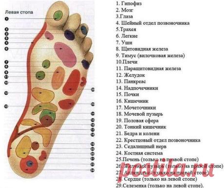 Массаж стоп необходим для улучшения здоровья и профилактики различных заболеваний! / Женское счастье!