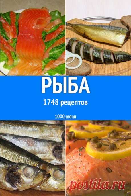 (95) Pinterest