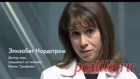 Альфия Садрисламова - Google+