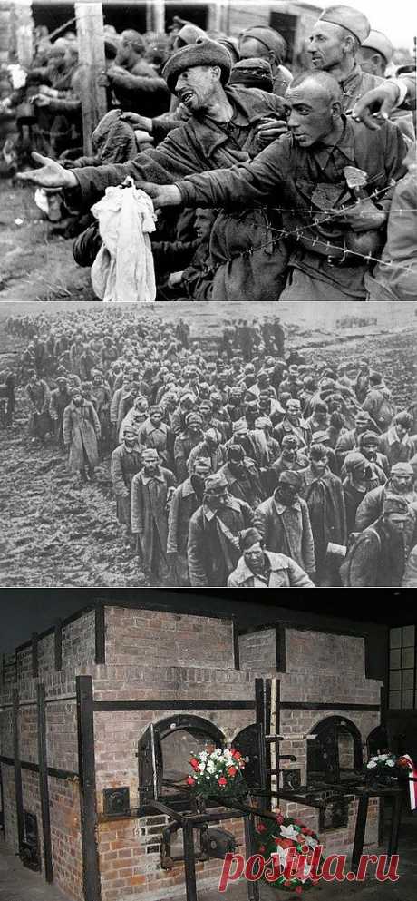 Забытый геноцид: советские пленные 1941 года - Ramute4909 — я.ру