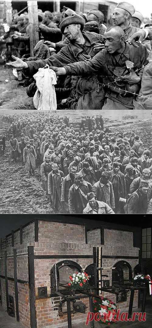 Забытый геноцид: советские пленные 1941 года - Ramute4909 — я.ру