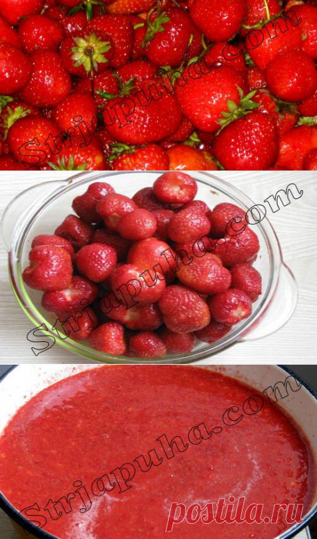 Клубника «на зиму»