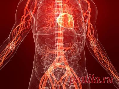 Комплекс упражнений для тренировки сосудов | Журнал 