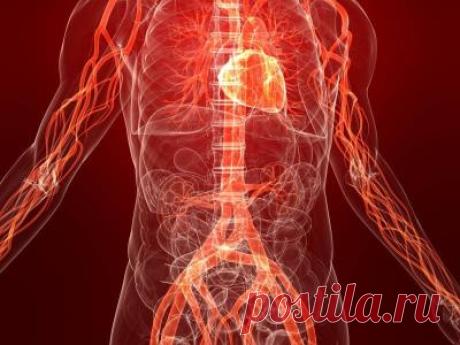 Комплекс упражнений для тренировки сосудов | Журнал "JK" Джей Кей №1 Примите такое исходное положение: станьте ровно, выпрямив спину, и поставьте ноги на ширину плеч. Теперь подымите вверх руки и переплетите пальцы. Начните медленные наклоны (как будто рубите дрова). Количество повторений: от восьми до пятнадцати раз. Данное упражнение тренирует сосуды головного мозга и сердечной системы. №2 Для выполнения следующего упражнения укрепляющего сосуды ног и рук необходимо дела...