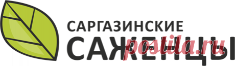 Интернет-магазин | Категории товаров | Саргазинские саженцы / Челябинск