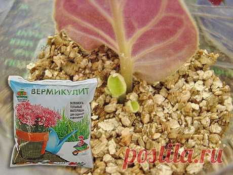 Вермикулит: что это, как применять для растений