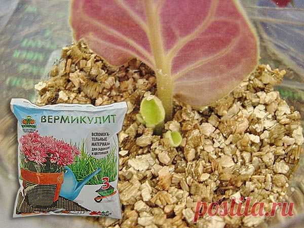Вермикулит: что это, как применять для растений