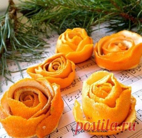 Y_8LtUFoU5o.jpg (545×529)