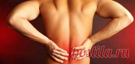 Упражнения для поясничного отдела / Популярная медицина