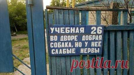 (19) Одноклассники