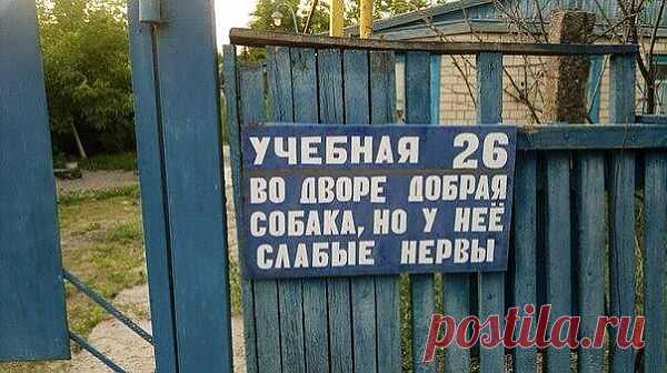 (19) Одноклассники