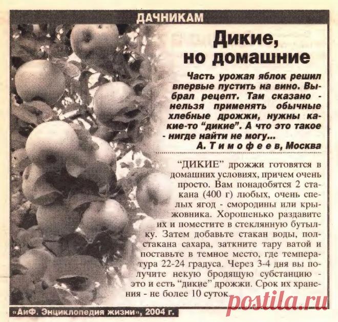 Как приготовить "дикие" дрожжи для вина