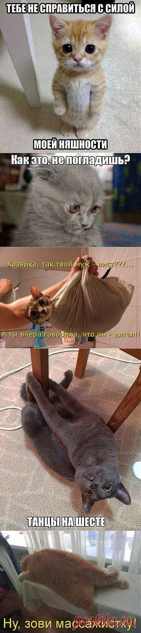 Тебе не справиться с силой моей няшности | ДОСТОЙНАЯ ЖИЗНЬ НА ПЕНСИИ