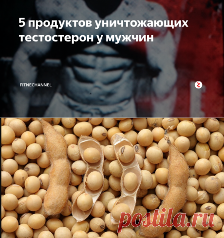 5 продуктов уничтожающих тестостерон у мужчин | fitnechannel | Яндекс Дзен