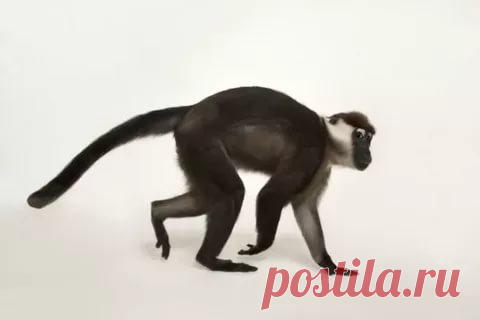 страницы которые создавались константина валерьевича сосницкого краснодар: 10 тыс изображений найдено в Яндекс.Картинках