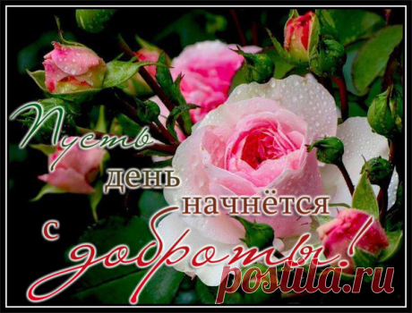 МИР, В КОТОРОМ МЫ ЖИВЕМ! .