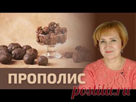 Великий Прополис!