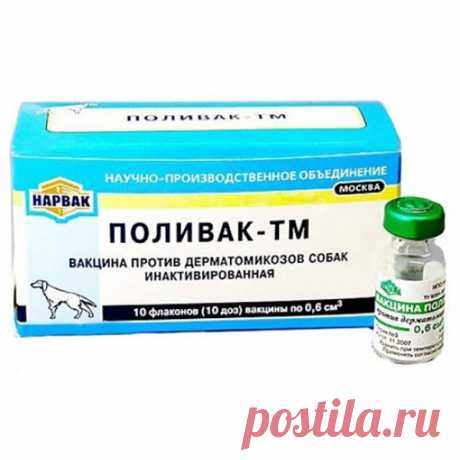 Подробная инструкция препарата Поливак ТМ для собак, отзывы специалистов