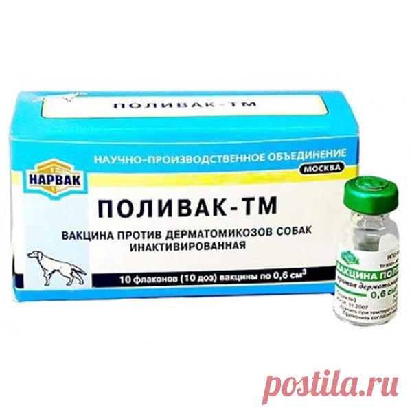 Подробная инструкция препарата Поливак ТМ для собак, отзывы специалистов