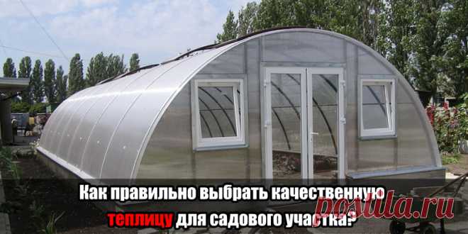 Как правильно выбрать качественную теплицу для садового участка? | Полезные советы