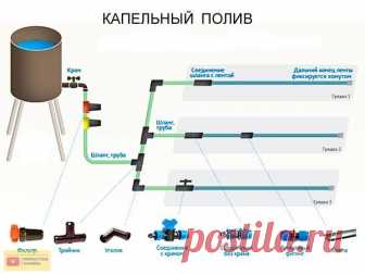 Как сделать простейший капельный полив из бочки? Не переживайте, ведрами черпать воду из бочки и носить ее на огород не придется. Есть более рациональные способы организации полива. Например, капельный полив. Изобретен этот способ был в Древнем Египте, где, как известно, проблема ирригации стоит очень остро...