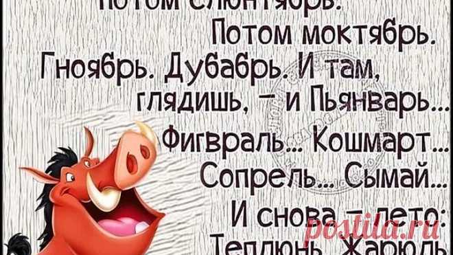 С ЮМОРОМ ПО ЖИЗНИ...