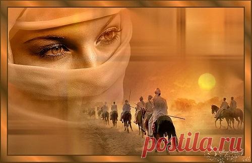 Урок + коллаж , как изменить размер и добавить границы т.е.(сделать обводку, рамочку) В Корел