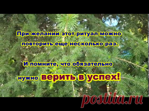 Практика на открытие канала достатка и благополучия