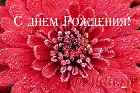 s_dnem_vareniya_0078.jpg (500×333)