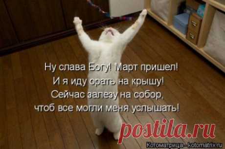 Девушки с оружием (30 фото)