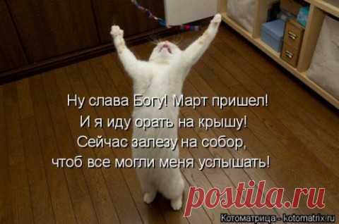 Девушки с оружием (30 фото)