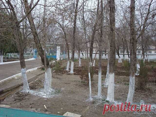 Фая МАРДАНОВА(ЗИАТДИНОВА)
46 лет, Россия, Набережные челны