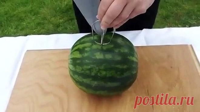 (4) Одноклассники